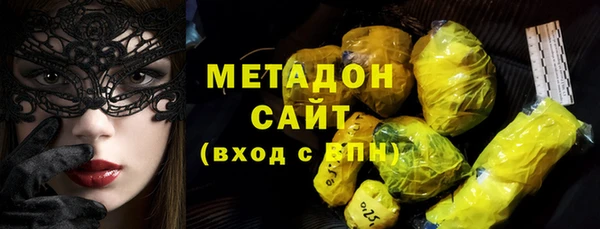 гашик Алексин