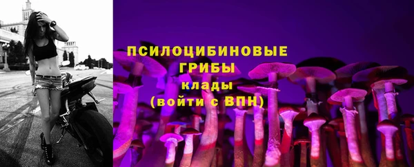 apvp Алексеевка