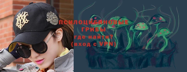 гашик Алексин