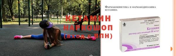 гашик Алексин