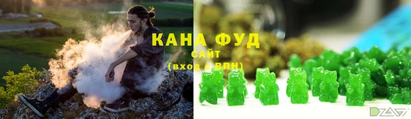 гашик Алексин