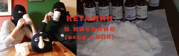 гашик Алексин