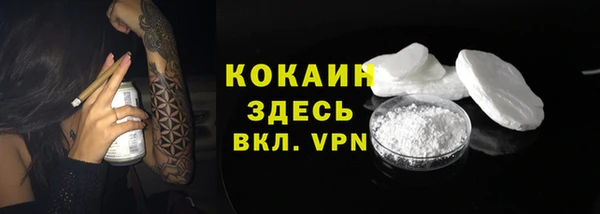 сатива Нягань
