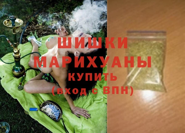 гашик Алексин