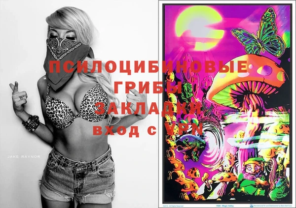 метадон Алзамай
