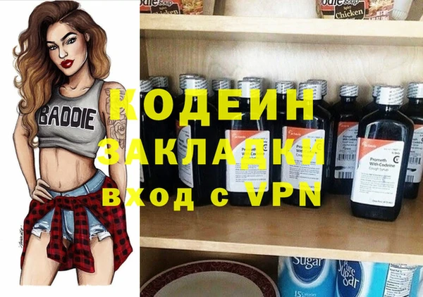 гашик Алексин