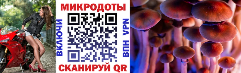 Псилоцибиновые грибы MAGIC MUSHROOMS  OMG tor  Нижняя Салда  продажа наркотиков 